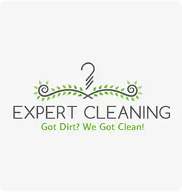 Cleaning Logo